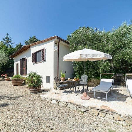Holiday Home Olivo By Interhome Castellina in Chianti Zewnętrze zdjęcie