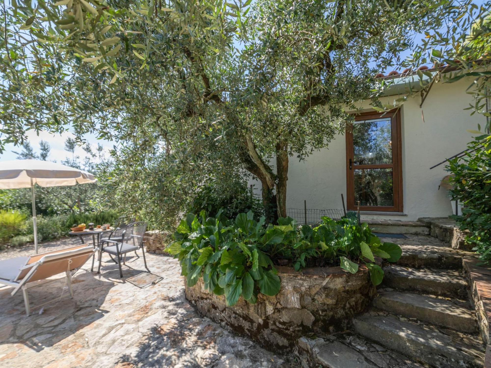 Holiday Home Olivo By Interhome Castellina in Chianti Zewnętrze zdjęcie